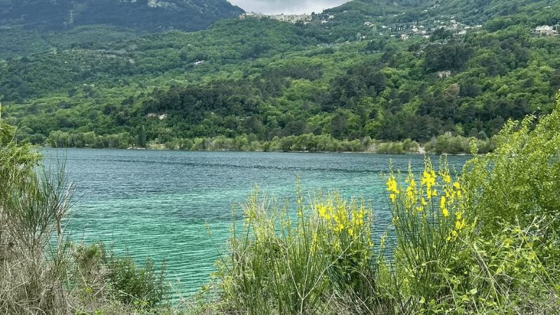 vue sur le lac du Broc , végétation et montagne
