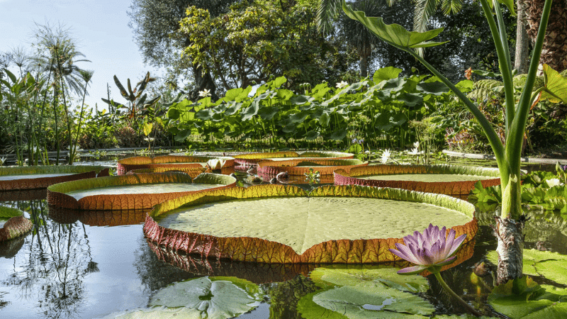 Jardins Botaniques Val Rameh Menton