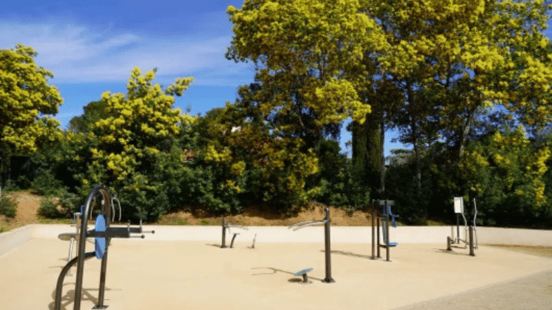 grand parc en bord de mer avec palmiers, pelouses et allées cyclables