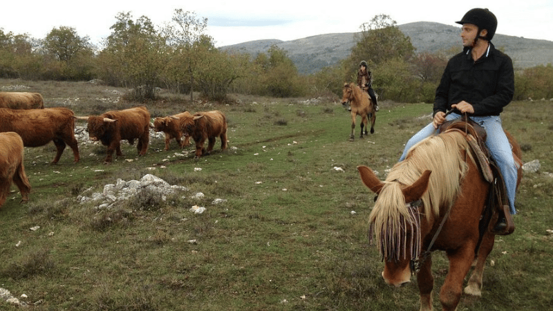 personne en balade à cheval